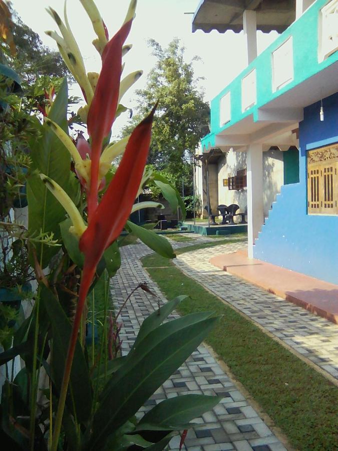 Thomasha Homestay Wellawaya Exterior foto