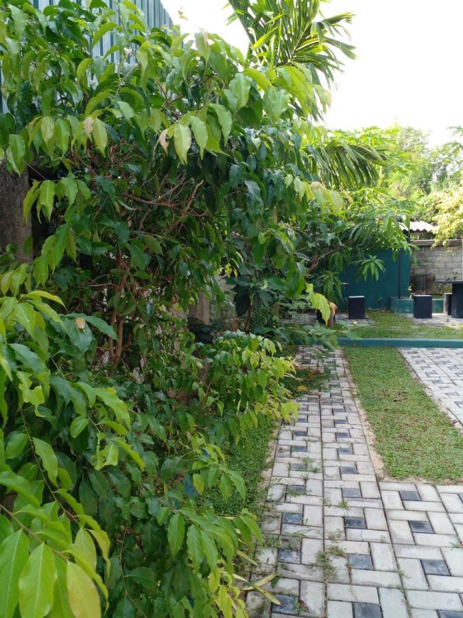 Thomasha Homestay Wellawaya Exterior foto